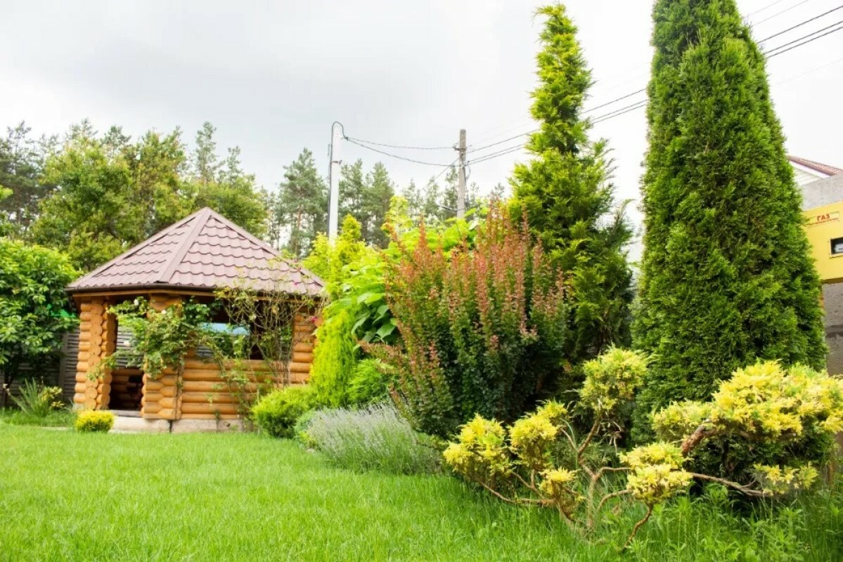 https://seversk.tgv-stroy.ru/storage/app/uploads/public/637/ef4/fb3/637ef4fb3605f391429275.png